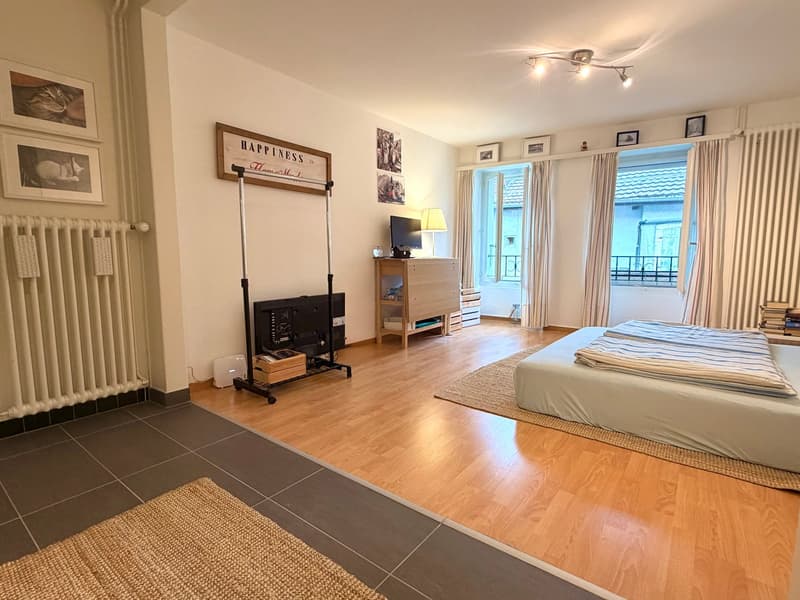 Magnifique studio cosy et lumineux (2)