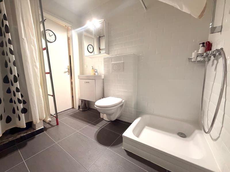 Magnifique studio cosy et lumineux (5)
