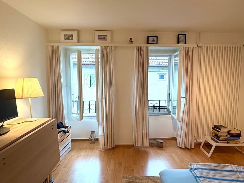 Magnifique studio cosy et lumineux (4)