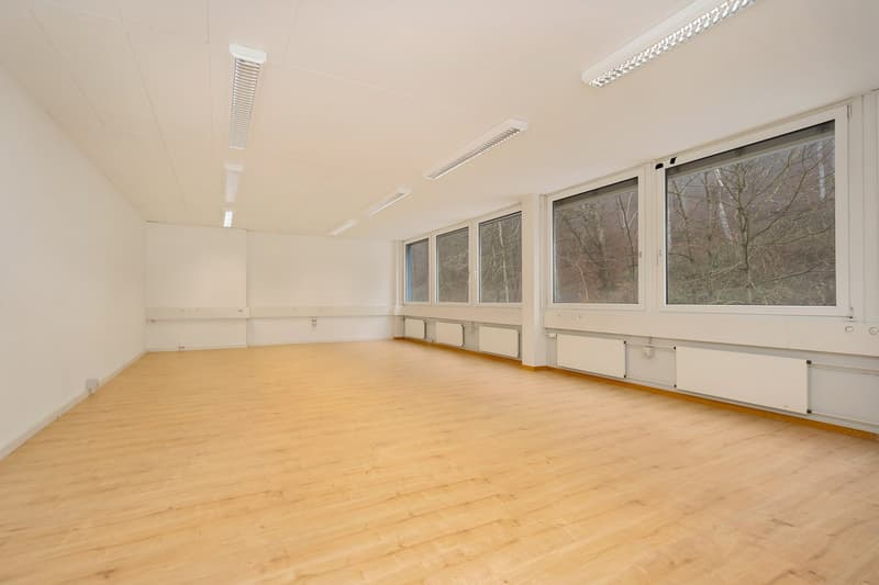 Large open room with hardwood floors, white walls, and large windows overlooking a wooded area. The room has recessed lighting and appears to be a commercial or office space.