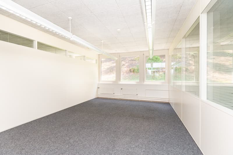 Air-conditioned office spaces - with raised floors - for IT & Medtech companies (13)