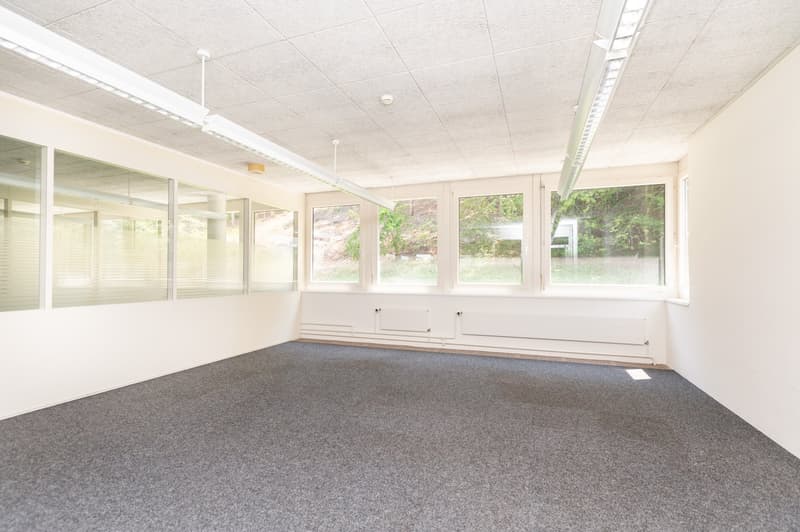 Air-conditioned office spaces - with raised floors - for IT & Medtech companies (16)