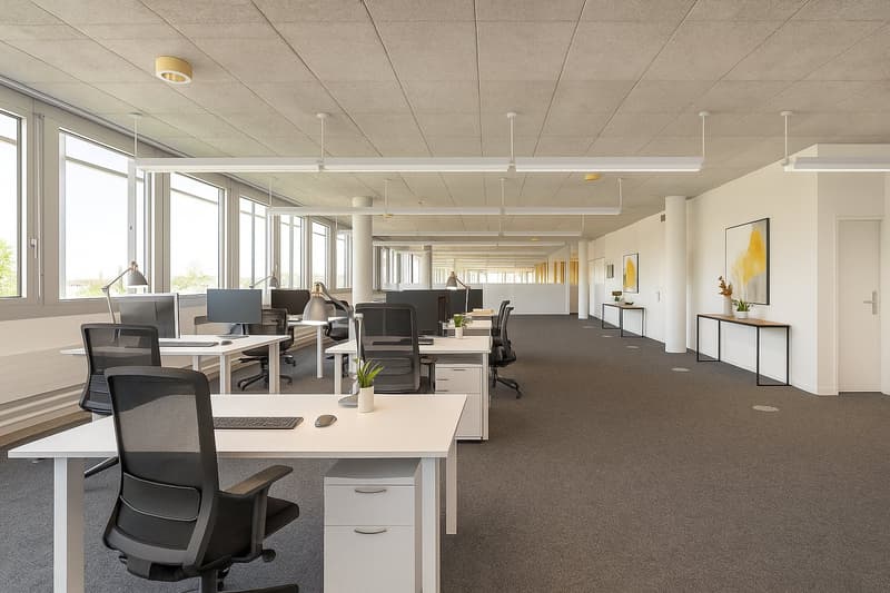 Air-conditioned office spaces - with raised floors - for IT & Medtech companies (3)