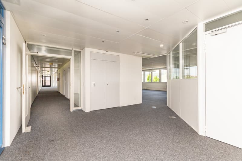 Air-conditioned office spaces - with raised floors - for IT & Medtech companies (11)