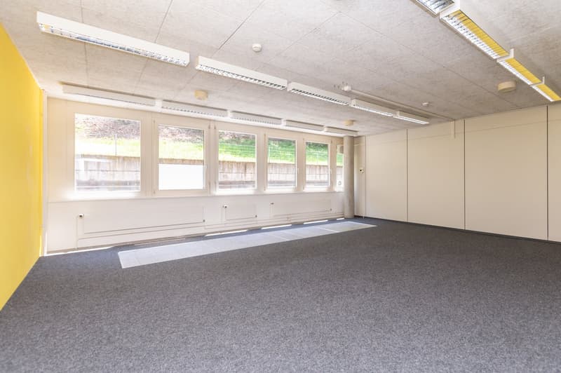 Air-conditioned office spaces - with raised floors - for IT & Medtech companies (8)