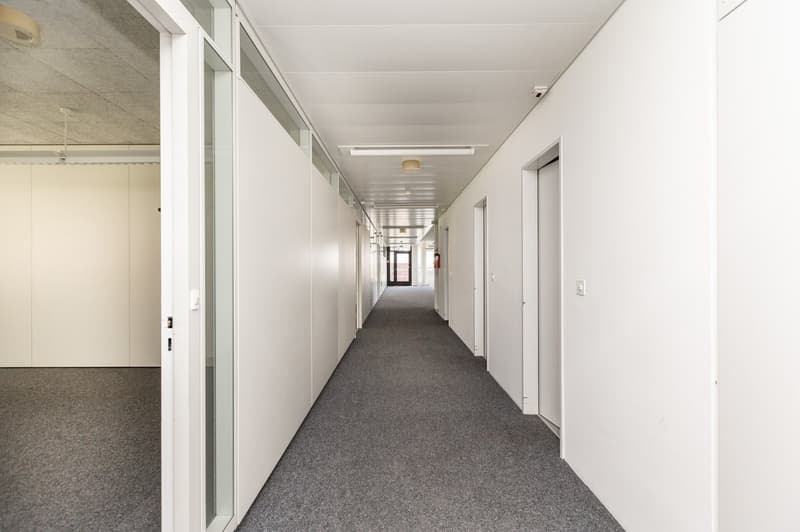 Air-conditioned office spaces - with raised floors - for IT & Medtech companies (12)