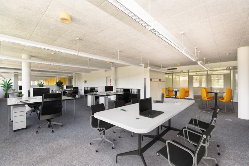 Air-conditioned office spaces - with raised floors - for IT & Medtech companies (4)