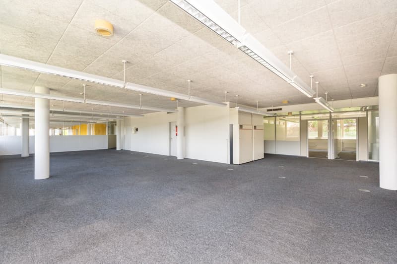 Air-conditioned office spaces - with raised floors - for IT & Medtech companies (15)