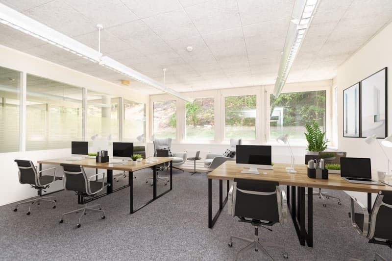 Air-conditioned office spaces - with raised floors - for IT & Medtech companies (5)