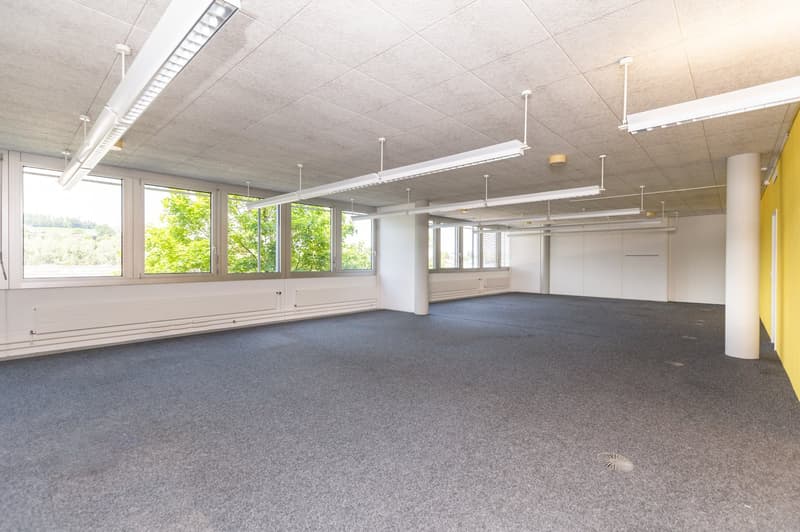 Air-conditioned office spaces - with raised floors - for IT & Medtech companies (9)