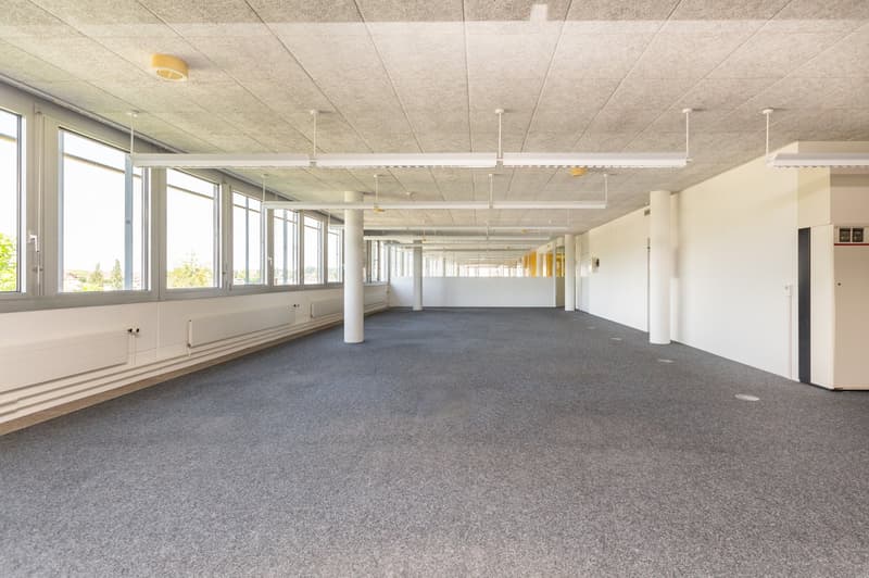 Air-conditioned office spaces - with raised floors - for IT & Medtech companies (14)