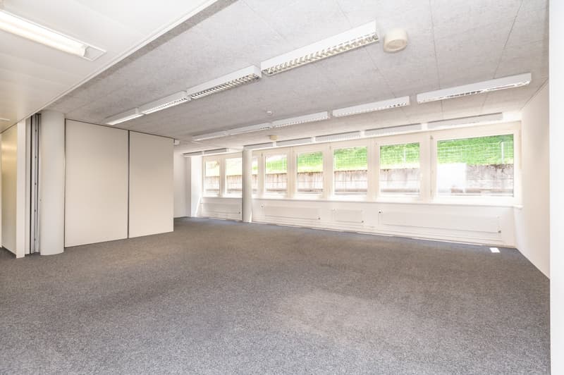 Air-conditioned office spaces - with raised floors - for IT & Medtech companies (10)