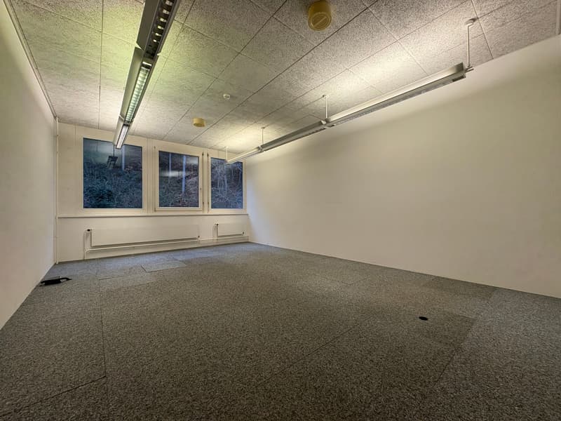 Office spaces - air-conditioned - with raised floors - affordable (10)