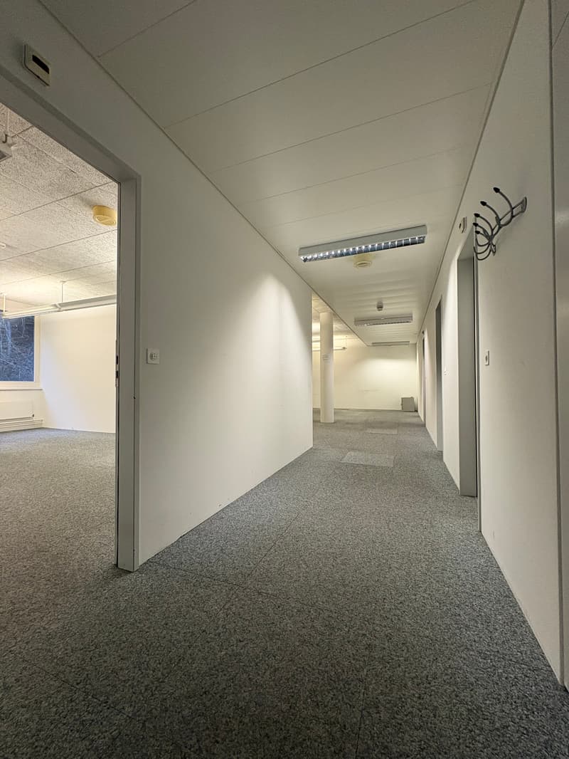 Office spaces - air-conditioned - with raised floors - affordable (9)