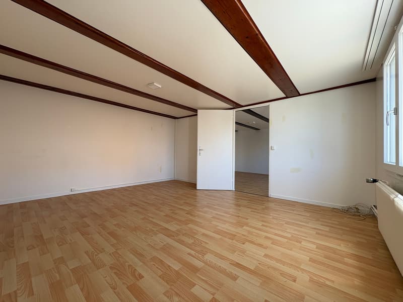 Appartamento ristrutturato di 4,5 locali al piano terra con cucina grande e bagno (11)