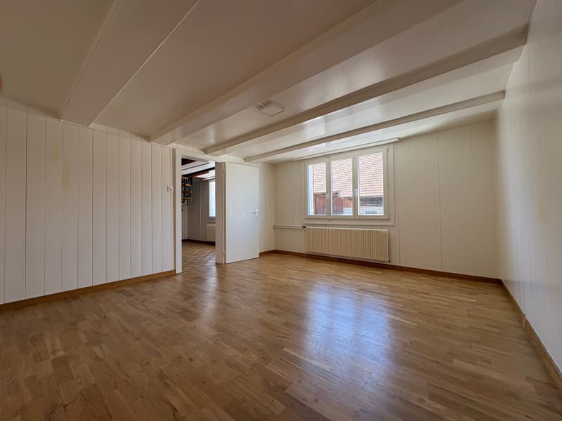 Appartamento ristrutturato di 4,5 locali al piano terra con cucina grande e bagno (9)