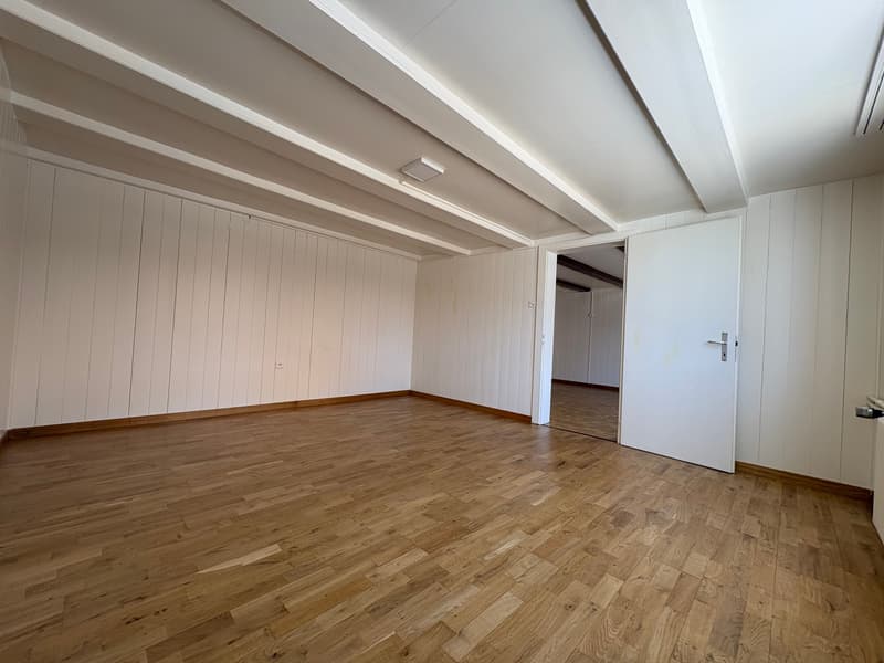 Appartamento ristrutturato di 4,5 locali al piano terra con cucina grande e bagno (7)