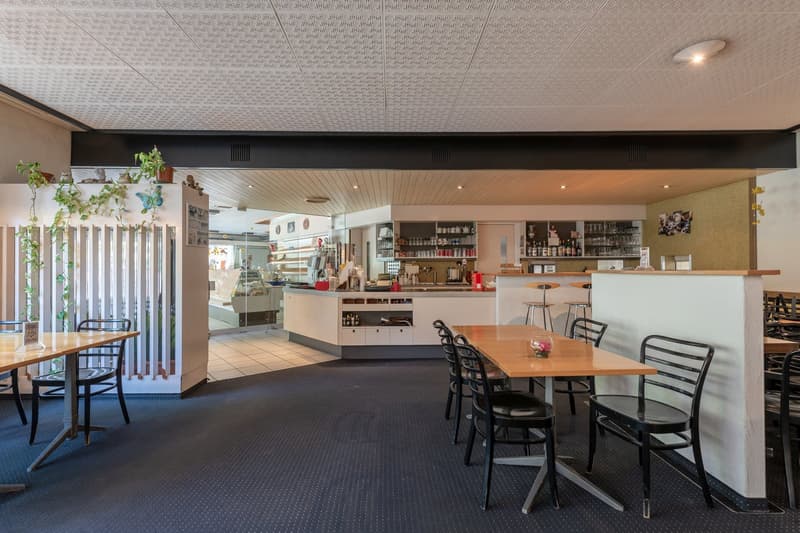 Restaurant, Café, Cabinet, Crèche - locaux commerciaux polyvalents directement au bord du lac (1)
