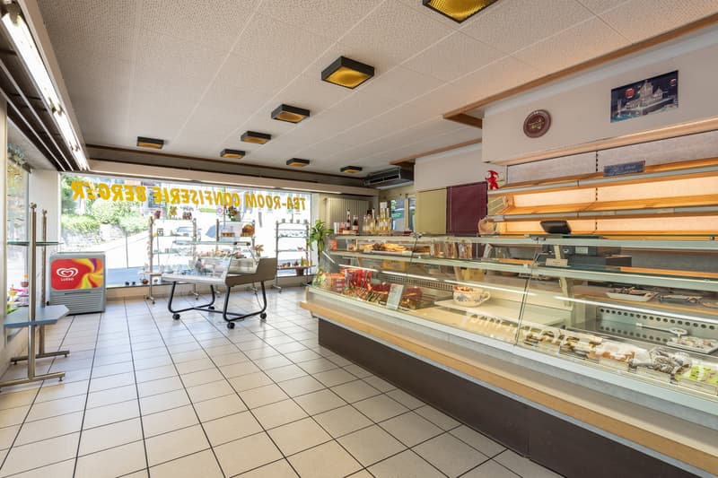 Restaurant, Café, Cabinet, Crèche - locaux commerciaux polyvalents directement au bord du lac (8)