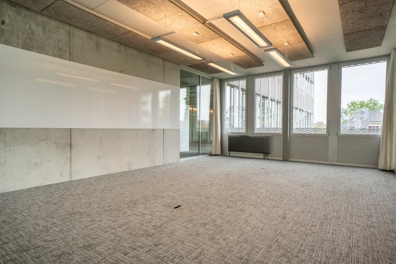 Espaces de bureau modernes - situation centrale - places de parking suffisantes (28)