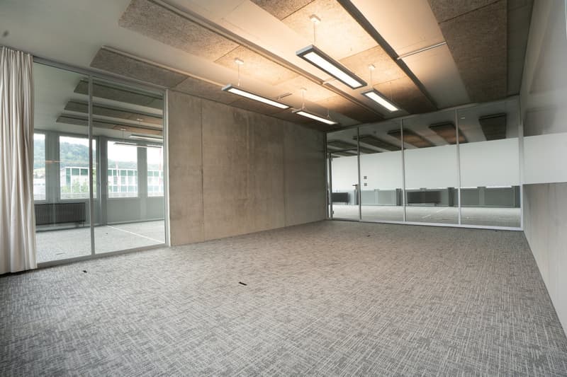 Espaces de bureau modernes - situation centrale - places de parking suffisantes (25)