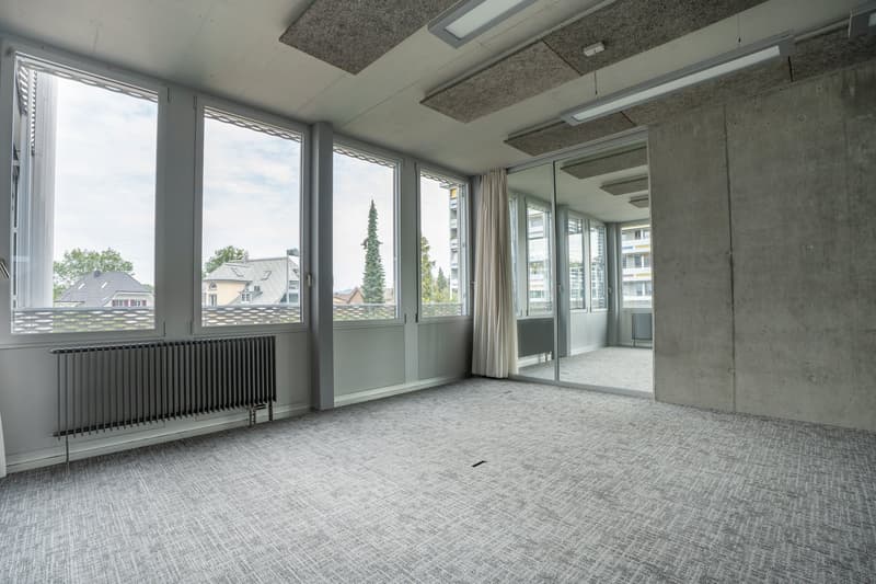 Espaces de bureau modernes - situation centrale - places de parking suffisantes (26)