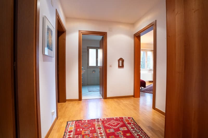 2.5-Zimmerwohnung - lichtdurchflutet - nahe Zentrum - 2 Parkplätze (11)