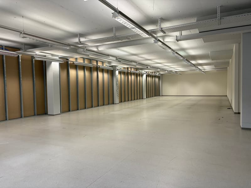 Preiswerte Gewerbe- , Logistik-, Büro- oder Lagerfläche zu vermieten (6)