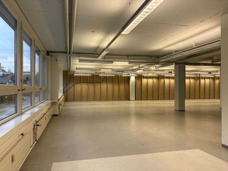 Preiswerte Gewerbe- , Logistik-, Büro- oder Lagerfläche zu vermieten (5)