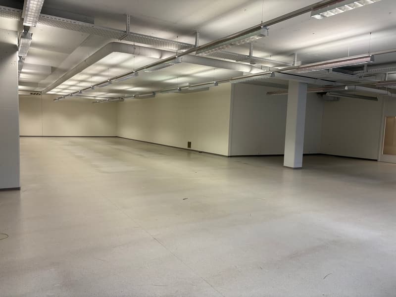 Preiswerte Gewerbe- , Logistik-, Büro- oder Lagerfläche zu vermieten (4)