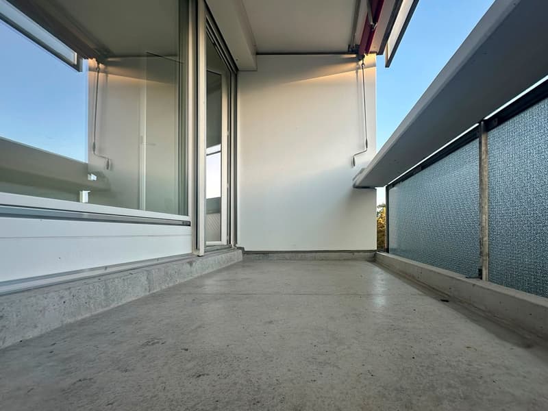 Geräumige 5.5-Zimmer-Wohnung - renoviert (19)