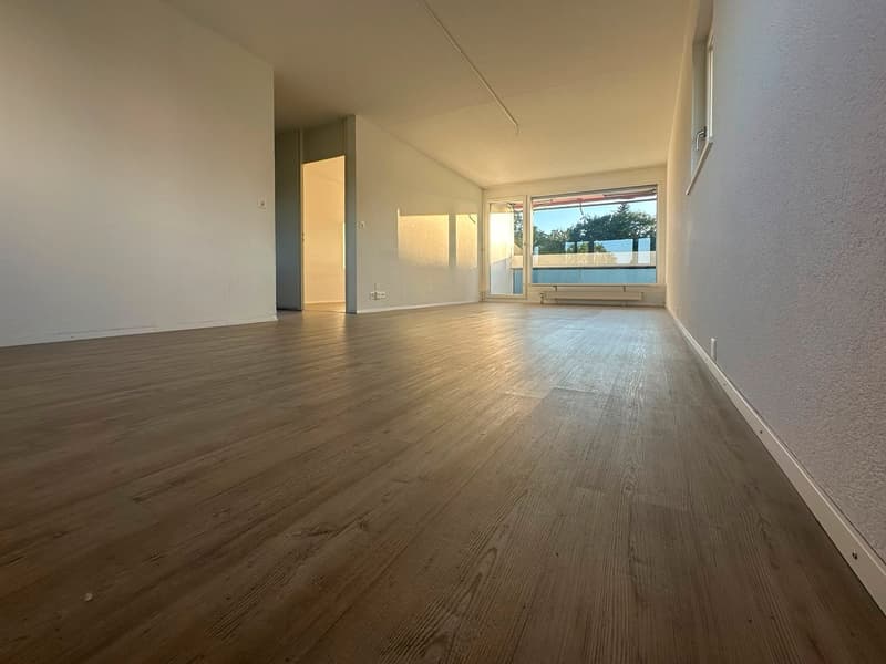 Geräumige 5.5-Zimmer-Wohnung - renoviert (1)