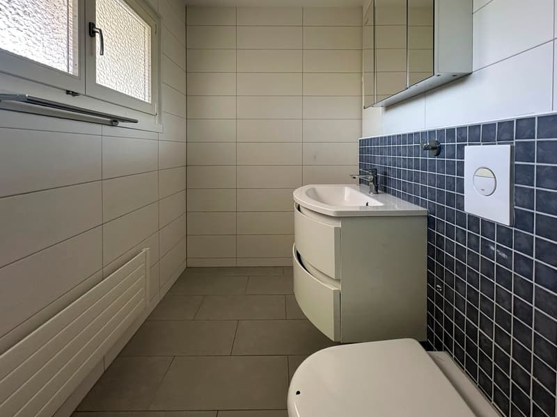 Geräumige 5.5-Zimmer-Wohnung - renoviert (17)