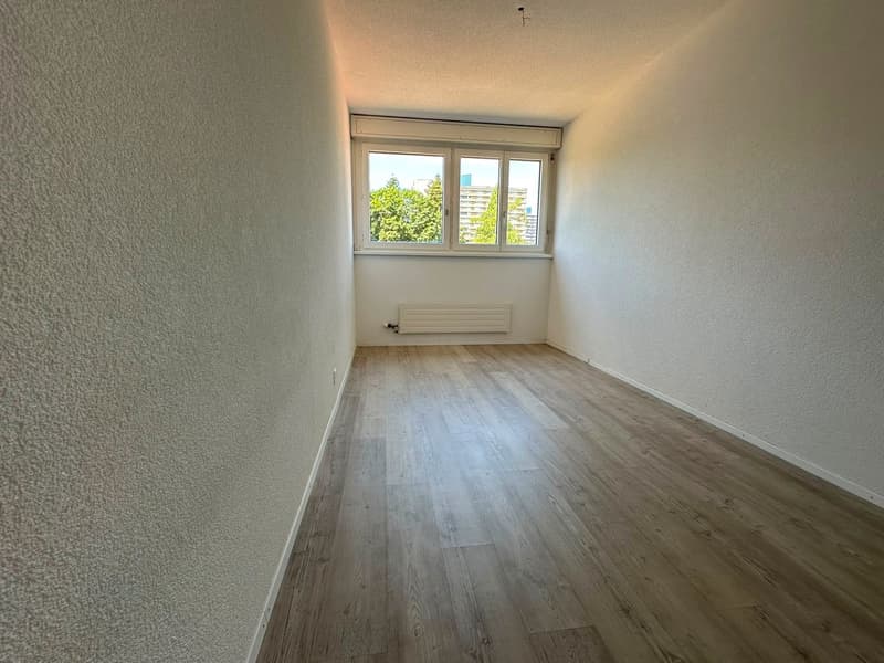 Geräumige 5.5-Zimmer-Wohnung - renoviert (13)