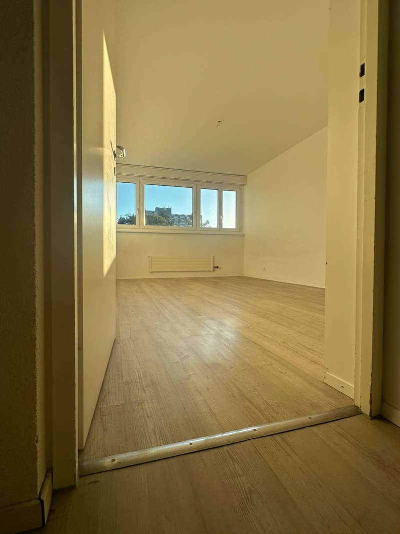 Geräumige 5.5-Zimmer-Wohnung - renoviert (11)