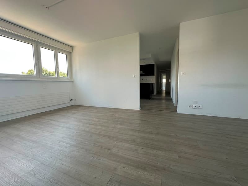 Geräumige 5.5-Zimmer-Wohnung - renoviert (2)