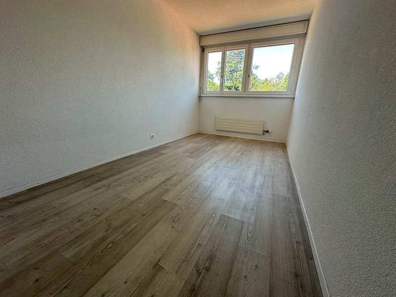Geräumige 5.5-Zimmer-Wohnung - renoviert (15)