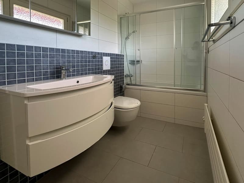 Geräumige 5.5-Zimmer-Wohnung - renoviert (18)