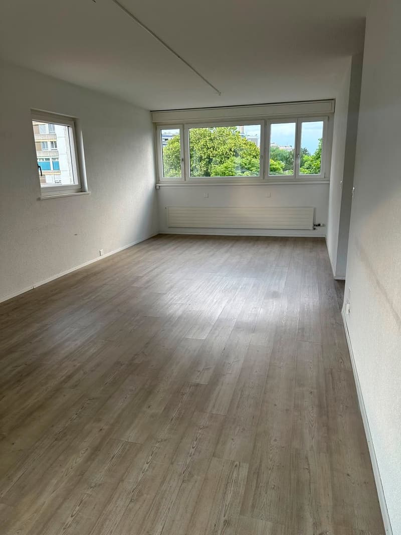 Geräumige 5.5-Zimmer-Wohnung - renoviert (5)