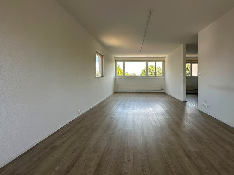 Geräumige 5.5-Zimmer-Wohnung - renoviert (3)
