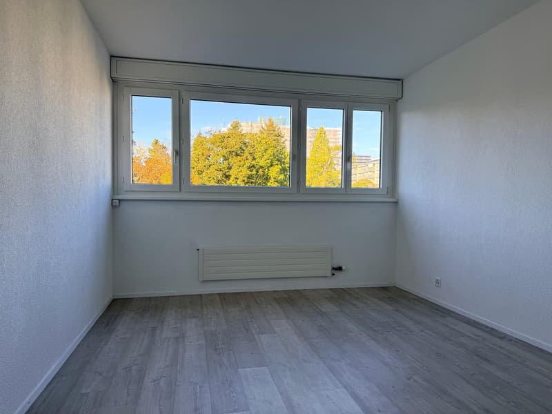 5.5-Zimmerwohnung - modern - hell - renoviert (7)