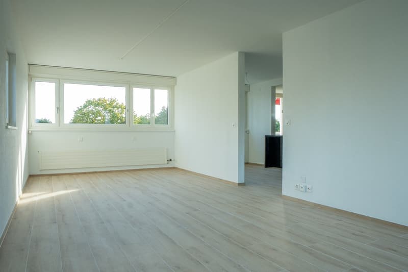 5.5-Zimmerwohnung - modern - hell - renoviert (2)
