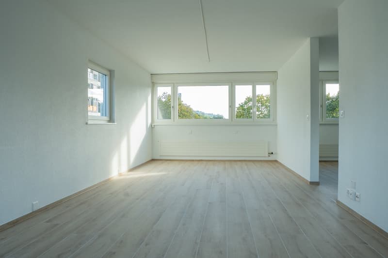 5.5-Zimmerwohnung - modern - hell - renoviert (1)