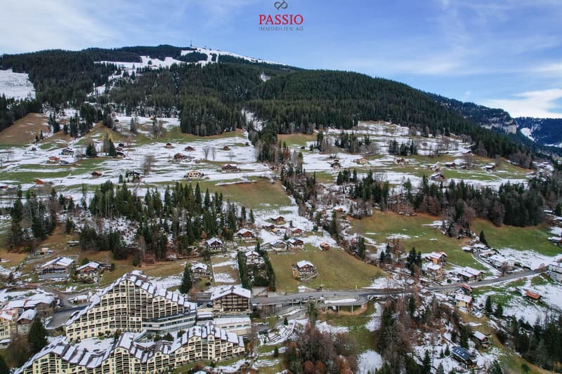 Bauland von 849m² mit Seesicht und Alpenpanorama (7)