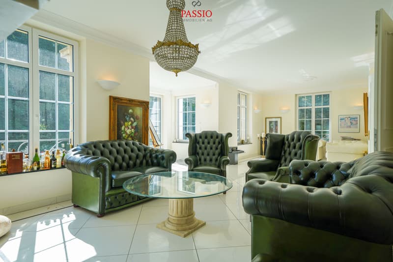 Luxurious 9.5-room single-family house in Biel (3)