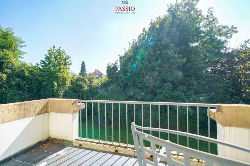 Luxurious 9.5-room single-family house in Biel (10)