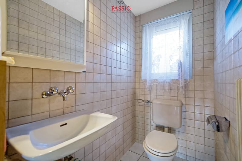 10.5-Zimmer-Einfamilienhaus - Ruhe, Natur & unverbaubare Weitsicht (13)