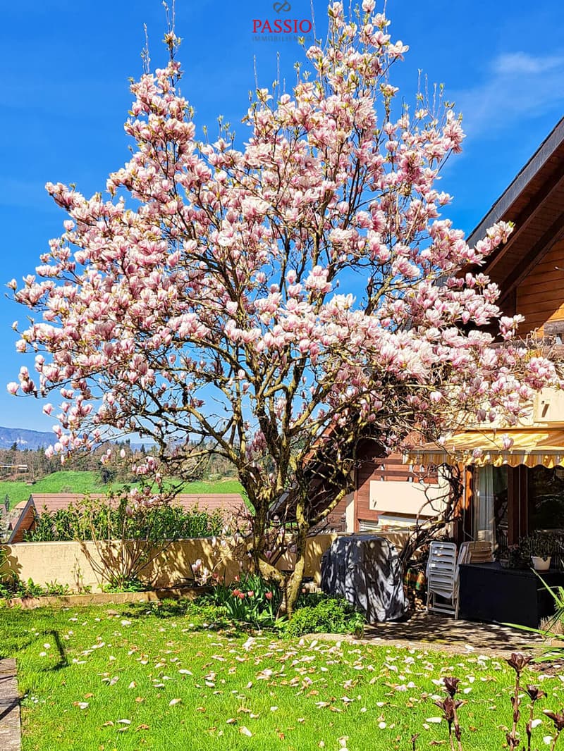 Grosses 10-Zimmer Reiheneckhaus mit Gartenparadies an Top Lage (3)