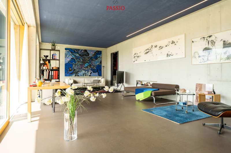 Exclusive loft apartment with large terrace and panoramic view (13)