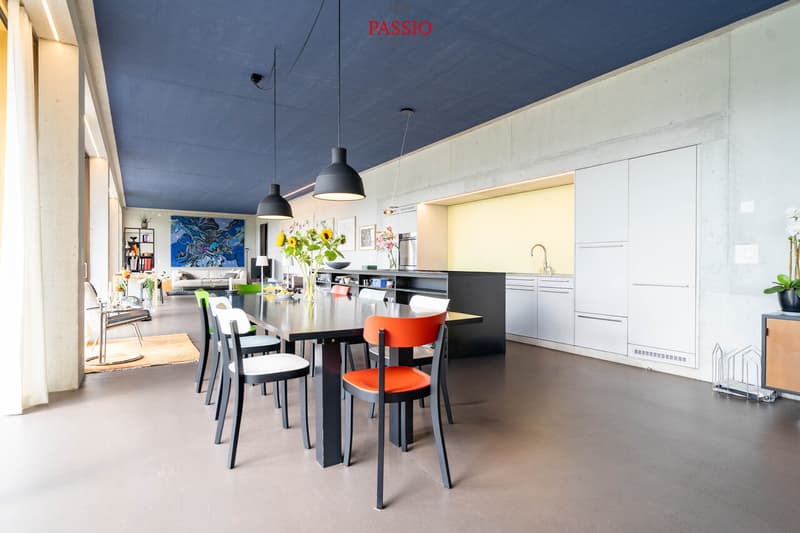 Exklusive Loft-Wohnung mit grosser Terrasse und Weitblick (7)